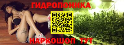 apvp Лесосибирск